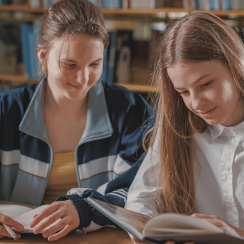 Untitled design (53)